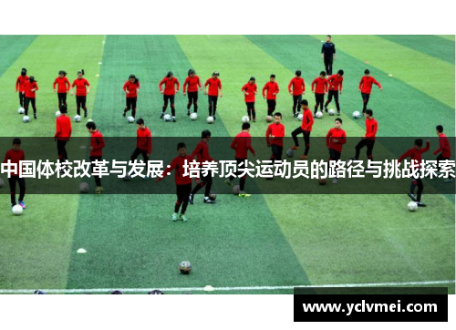 中国体校改革与发展：培养顶尖运动员的路径与挑战探索