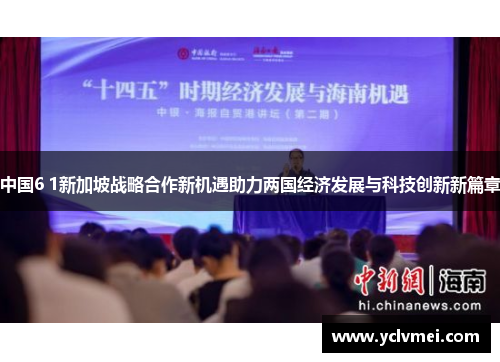 中国6 1新加坡战略合作新机遇助力两国经济发展与科技创新新篇章