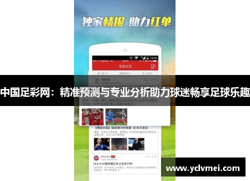 中国足彩网：精准预测与专业分析助力球迷畅享足球乐趣